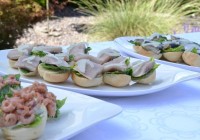 Variety of mini rolls with fish and shrimps